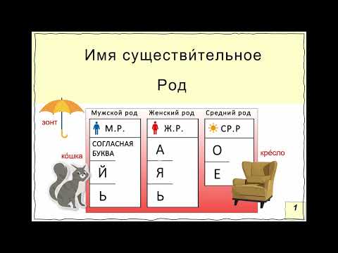 Видео: Повторяем род существительных.   Зонт, кошка, кресло