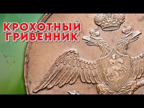 Видео: Mедяк главного калибра.