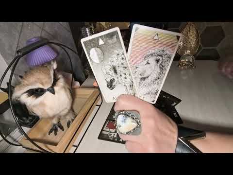 Видео: 🔥🤷Прямо сейчас🔥. Что Вам срочно нужно знать о нем🤷🔥