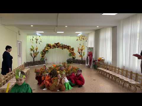 Видео: 7 ноября 2025 г.