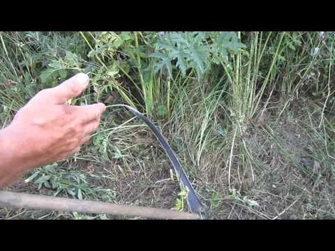 Видео: Косить траву