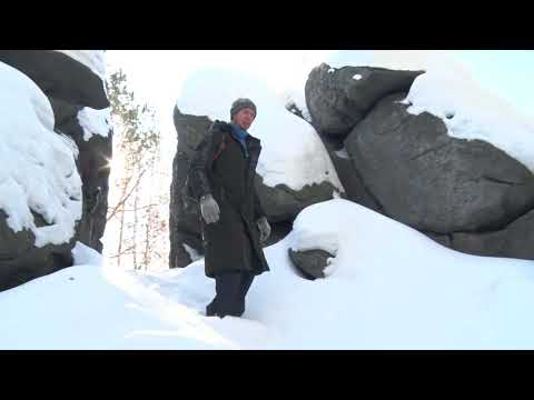 Видео: Если дома не сидится. Палкино 18.01.2024