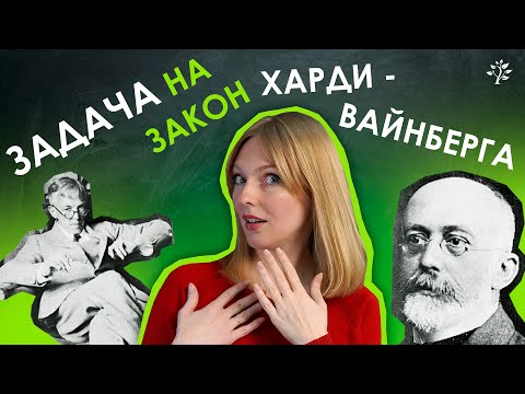 Видео: Задача на закон Харди - Вайнберга | Биология | TutorOnline