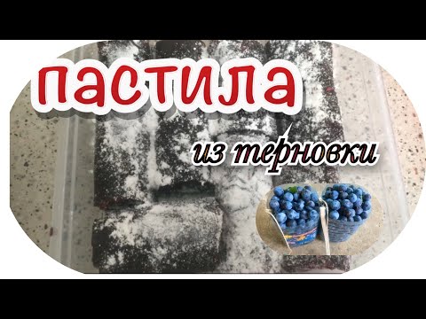 Видео: Пастила из терновки/Можно из любой /Просила, но не подумала)/