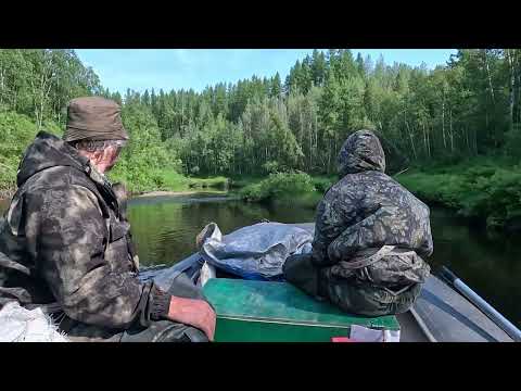 Видео: Рыбалка на таежной речке. Лодка с водометной насадкой. Рыбалка на хариуса