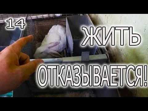 Видео: СЕЙЧАС ВСЕ ПОКАЖУ И РАССКАЖУ!