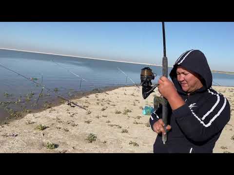 Видео: Рыбалка в водохранилище Бугунь  | рыбалка с ночёвкой Туркестанская область