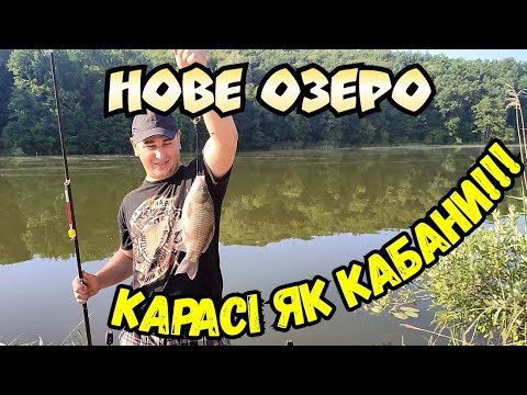 Видео: ВІДПОЧИНОК І РИБАЛКА НА НОВОМУ ОЗЕРІ / ВЕЛИКІ КАРАСІ І СМАЧНІ СТРАВИ