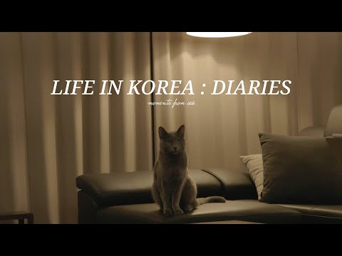 Видео: Уютный день с котом 🐾 Сезон инжира и домашняя еда | Жизнь в одиночку в Корее