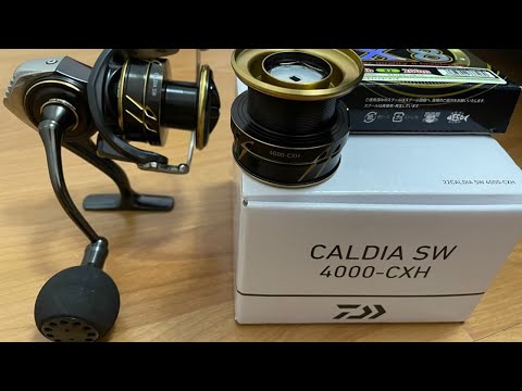 Видео: Лучшая бюджетная катушка , но не для всех Daiwa caldia sw 4000