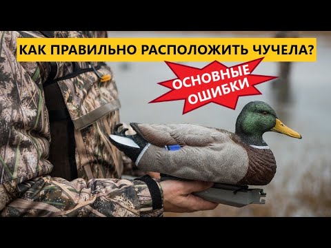 Видео: 🦆 💥ПРАВИЛЬНАЯ РАССТАНОВКА ЧУЧЕЛ УТОК КРЯКВЫ.