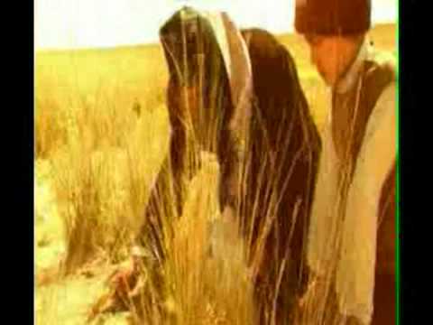 Видео: Теріскей / Teriskey