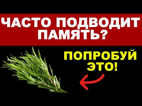 Видео: Как Розмарин помогает улучшить память?