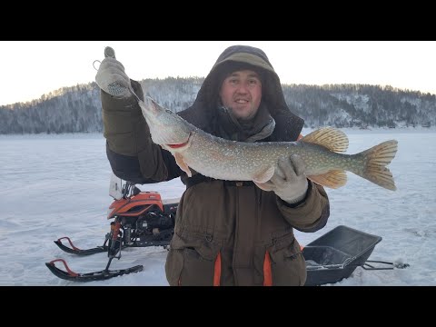 Видео: РЫБАЛКА С ДРУЗЬЯМИ В ЗАЛИВЕ БОЛЬШАЯ ДЕРБИНА. ЩУКА НЕ ДАЁТ ПОКОЯ. ЧАСТЬ 1.