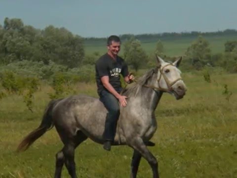 Видео: С Днём Рождения,Серёга!