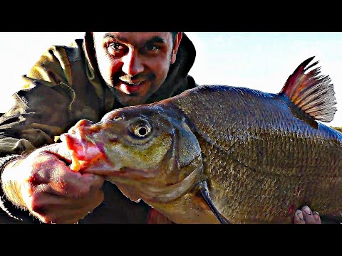 Видео: 4 КГ. ТРОФЕЙНЫЙ ЛЕЩ на СОЛЁНОЕ МОРДОВСКОЕ САЛО / РЫБАЛКА С НОЧЁВКОЙ В МАШИНЕ