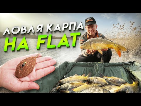 Видео: ВЕСЕННИЙ КАРП В КАМЫШАХ НА FLAT ФИДЕР! Рыбалка 2022!