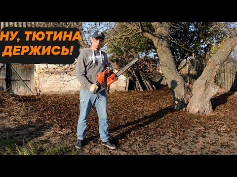 Видео: ЗАБРОШЕННЫЙ УЧАСТОК НАЧИНАЕТ ПРЕОБРАЖАТЬСЯ | КУПИЛ ЗАБРОШЕННЫЙ ДОМ В ДЕРЕВНЕ