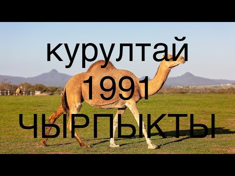 Видео: чырпыкты айылы 1991!!! КУРУЛТАЙ!!!