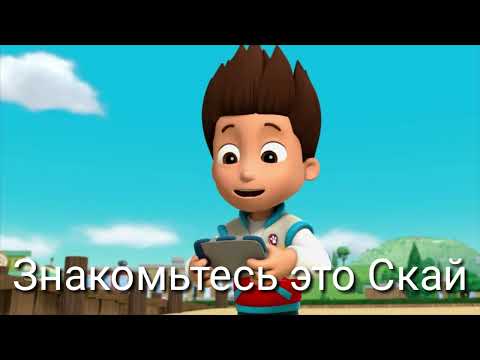 Видео: Комикс-заказ "новый щенок"