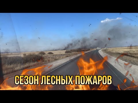 Видео: ГОРЯТ ПОЛЯ(((МОЙ ПУТЬ НЕ ПРОСТОЙ /ЕДУ ДАЛЬШЕ