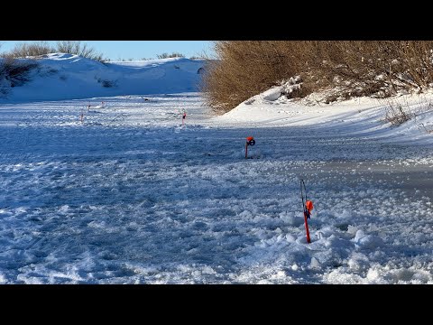 Видео: НАШЁЛ ТРОПУ НАЛИМА! РЫБАЛКА В НЕИЗВЕДАННЫХ СТЕПЯХ НА РЕКЕ НУРА!