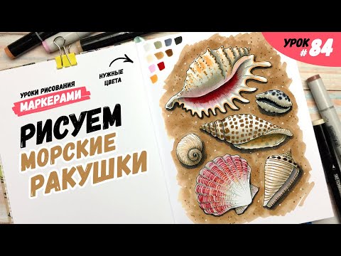 Видео: Как нарисовать ракушки на песке? / Видео-урок по рисованию маркерами #84