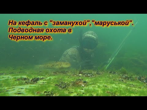 Видео: Подводная охота в Черном море на кефаль с "Заманухой", Жара, в воде кайф)))))