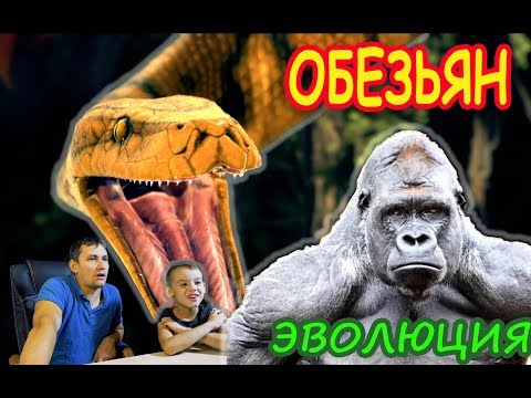 Видео: Эволюция ОБЕЗЬЯН начало игры ANCESTORS