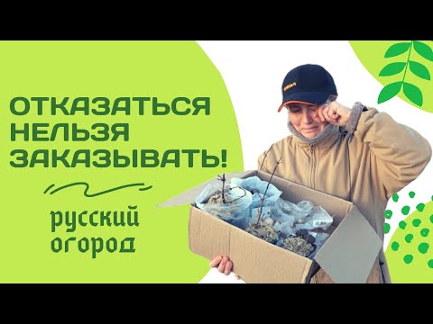 Видео: Так меня еще никто не обижал..."Русский огород" распаковка саженцев