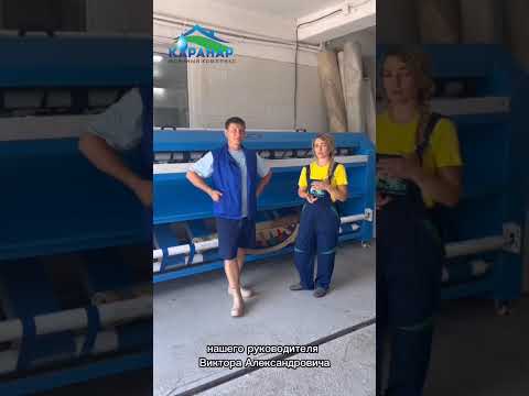Видео: Пылевыбивающая машина для ковров RWM #carpetcleaning  #rugdustbeater