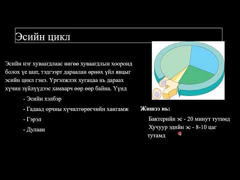 Видео: Биологийн хичээл №15 ДНХ-н бүтэц, ДНХ нийлэгжил