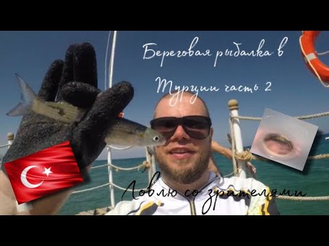 Видео: Рыбалка в Турции часть 2. Новая рыба. Появилась группа поддержки. Рыбалка всё включено