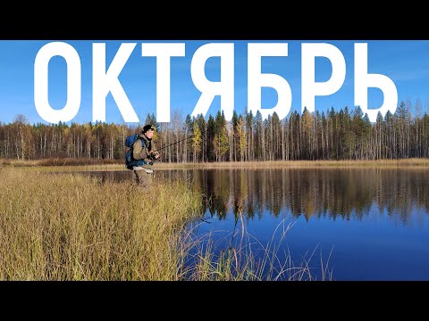 Видео: Рыбалка на Лесном Озере | Впервые ловлю на джиг "ступенькой" | Что получилось?