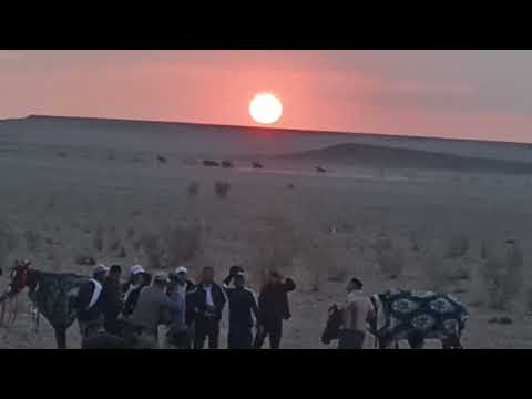 Видео: БЕРУНИ ҚЫЗЫЛ ҚАЛА БӘЙГЕ 11 июня 2025 г.