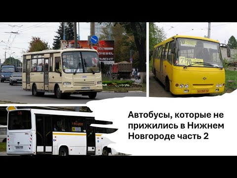 Видео: Автобусы которые не прижились в Нижнем Новгороде часть 2 #нижнийновгород #автобус