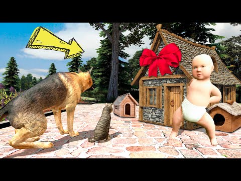 Видео: Мысық пен ИТке ҮЙ СОҒЫП БЕРДІМ!