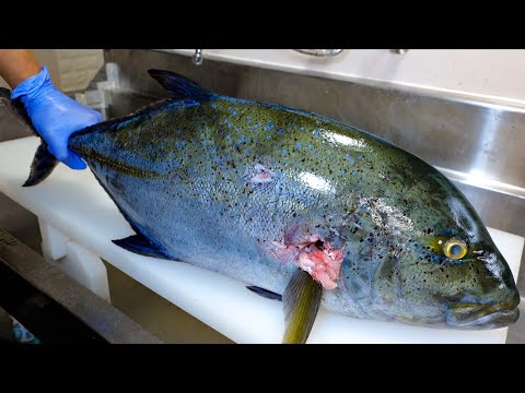 Видео: [No.16] Обработка гигантского Bluefin trevally и использование его в японской кухне