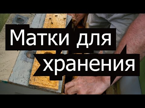 Видео: Пасека #36 Как быстро сделать нуклеус ? Матки для хранения - Молодые матки. Пасека.Пчеловодство