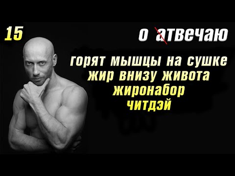 Видео: Отвечаю (15): Жир внизу живота, сгорели мышцы на сушке, читдэй
