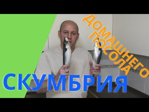 Видео: Домашний посол скумбрии. Солим скумбрию для салата Скумбрия под шубой.