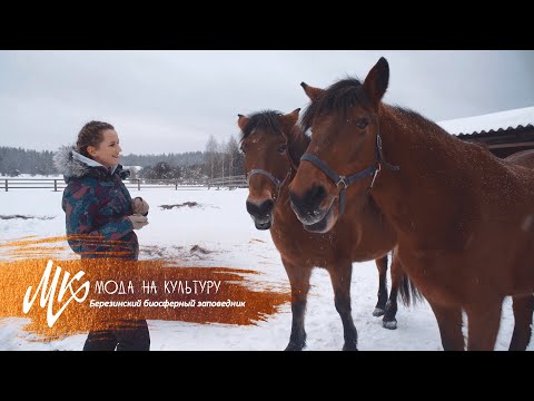 Видео: Зимний туризм в Березинском биосферном заповеднике