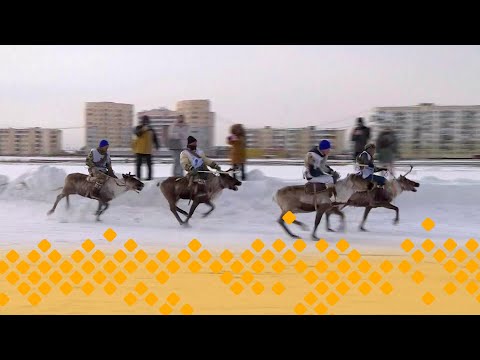 Видео: «Гонки на оленьих упряжках»  2ч.  (20.03.25)