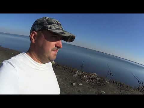 Видео: Карась уральский. Каменск - Уральский.