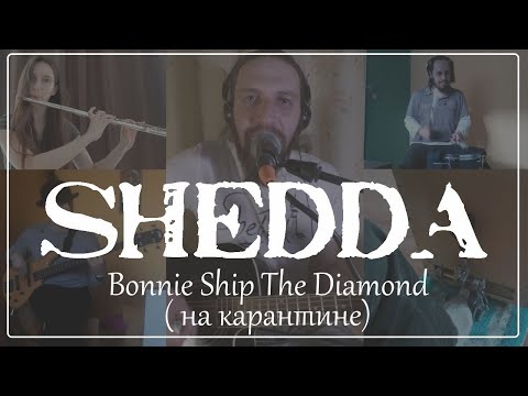 Видео: Shedda — Bonnie Ship The Diamond (на карантине)