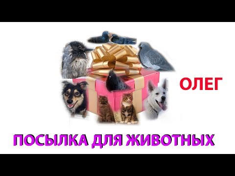 Видео: Посылка для животных! ОЛЕГ