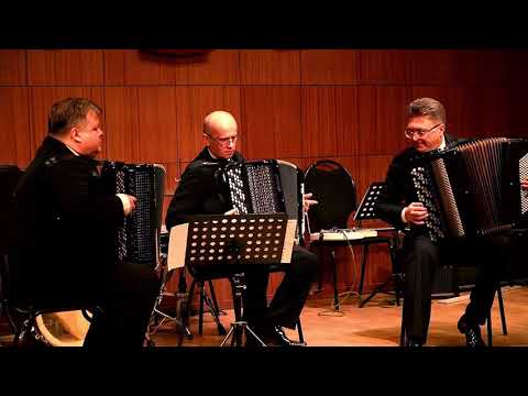 Видео: Юрий Романов «Воронежские наигрыши»