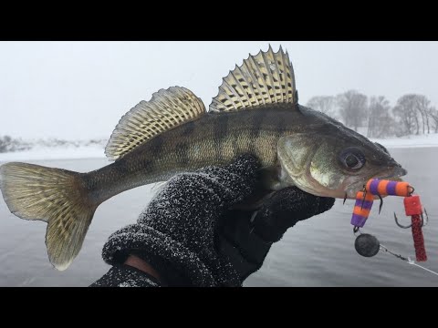 Видео: СПИННИНГ в Январские морозы! ДЖИГ на Москве реке ЗИМОЙ! Рыбалка зимой на спиннинг! "Что к чему-1"