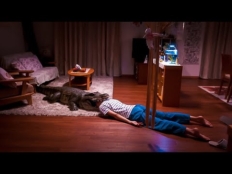 Видео: Дандаа үхсэн дүр эсгэдэг эхнэр. Шалтгаан?