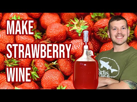 Видео: Как приготовить клубничное вино | 1 галлон